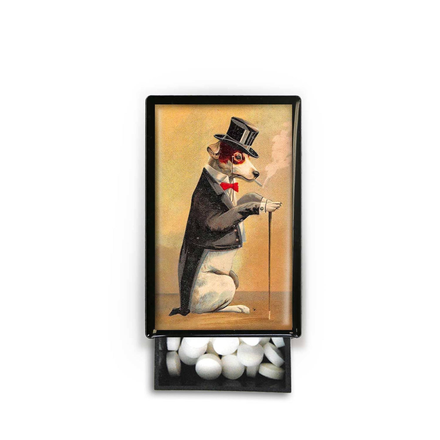 Smoking Dog Silly Quirky Slide Box