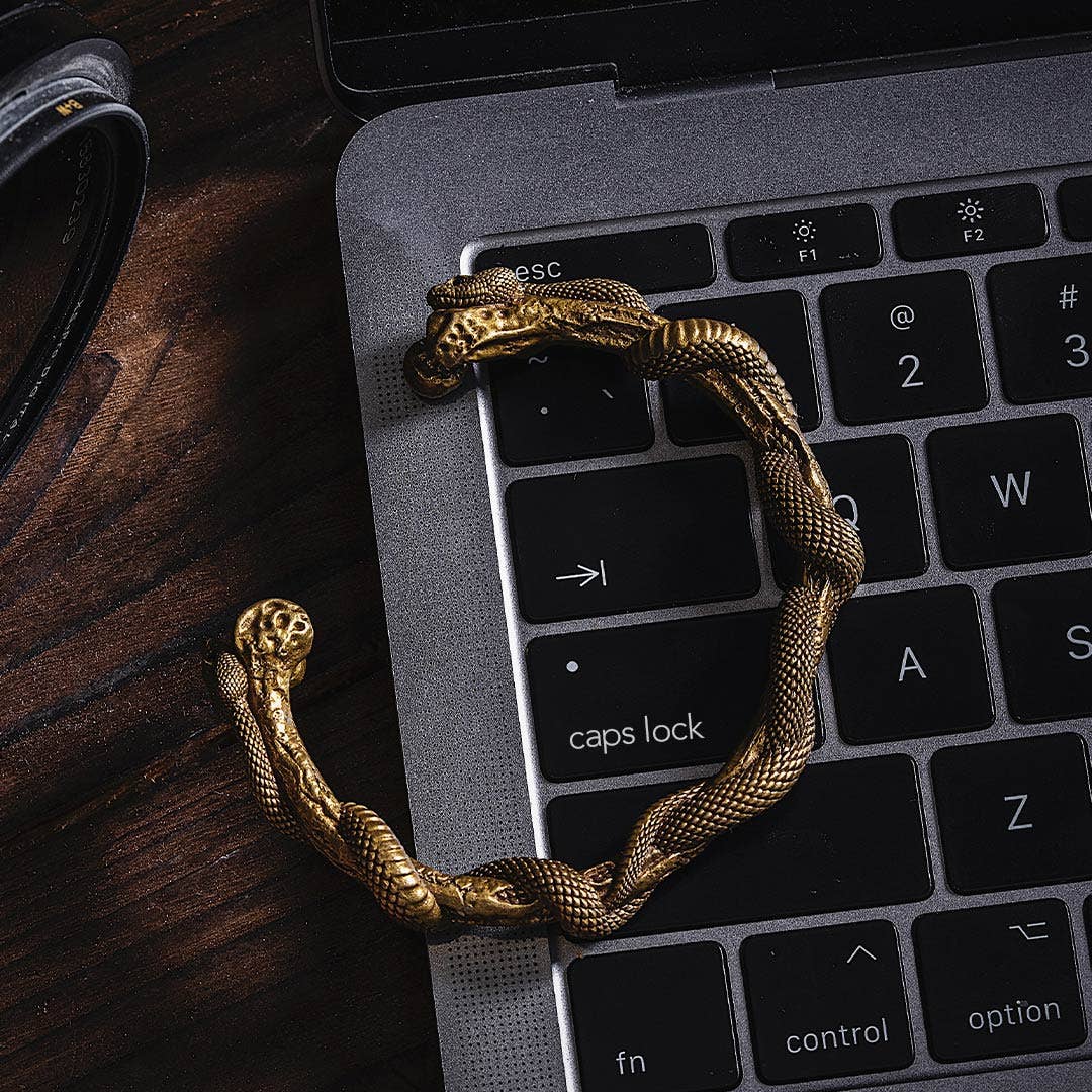 Snake Cuff Bracelet: Brass &  Silver / 7"