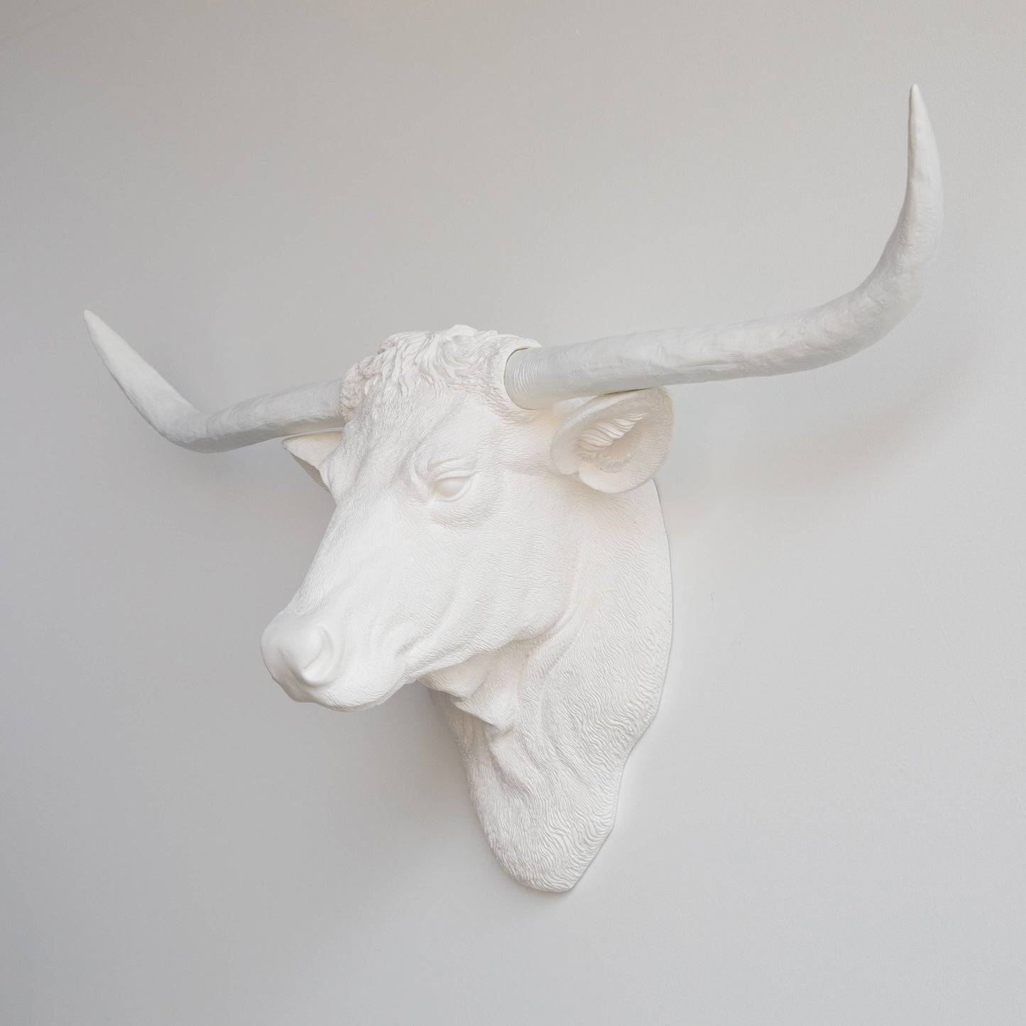 Near and Deer - Faux Texas Longhorn Head Wall Mount: Black/Gold