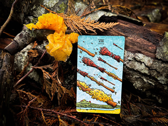 The Mushroom Hunter's Arcanum: a 78-Card Tarot Deck