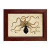 8-1/2" x 12" Octopus Print Behind Glass in Wood Frame