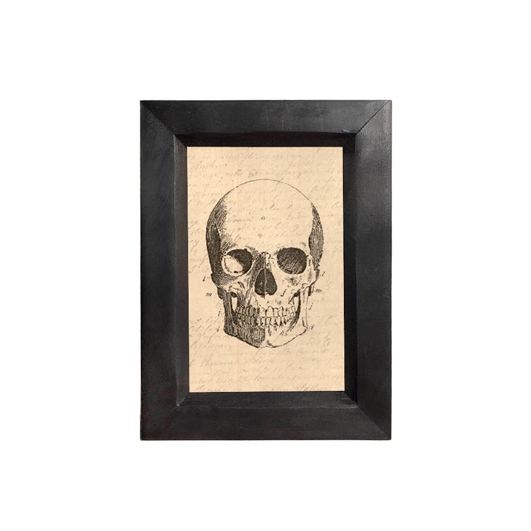 Antiqued Skull Print Behind Glass in Solid Wood Frame