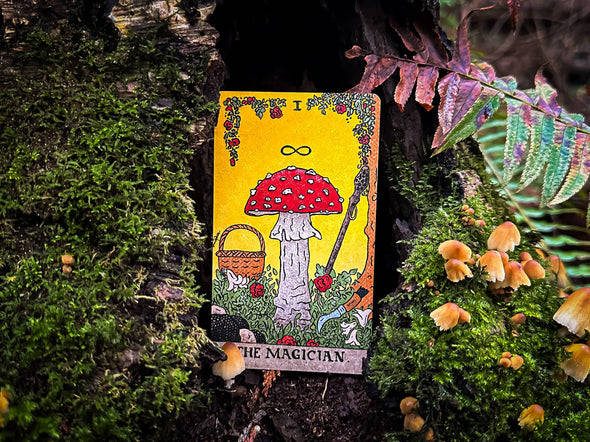 The Mushroom Hunter's Arcanum: a 78-Card Tarot Deck