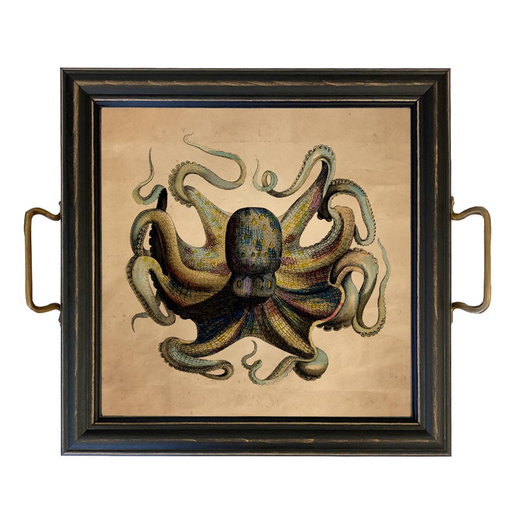 Octopus Framed Wall Print Behind Glass or Decorative Tray