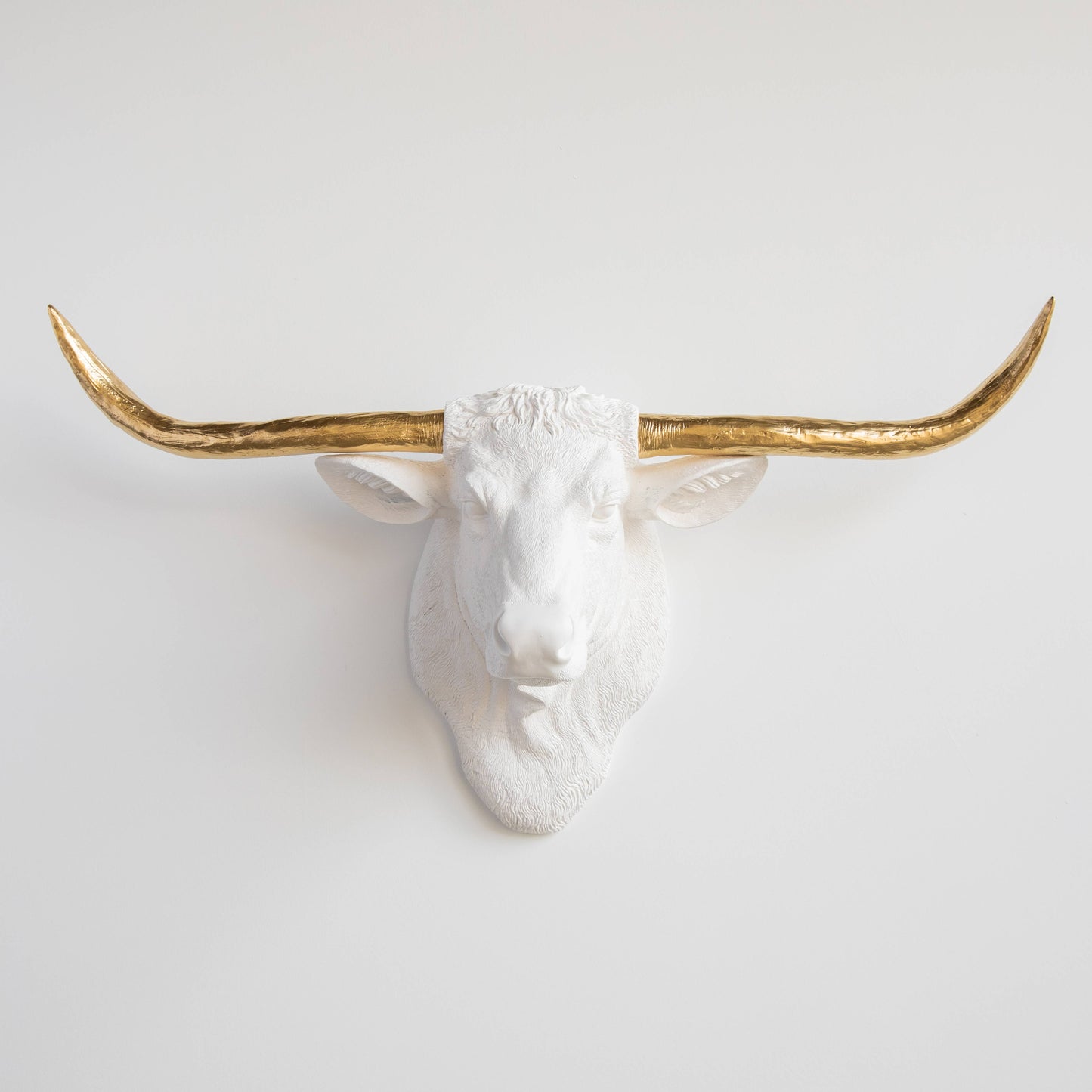 Near and Deer - Faux Texas Longhorn Head Wall Mount: Black/Gold