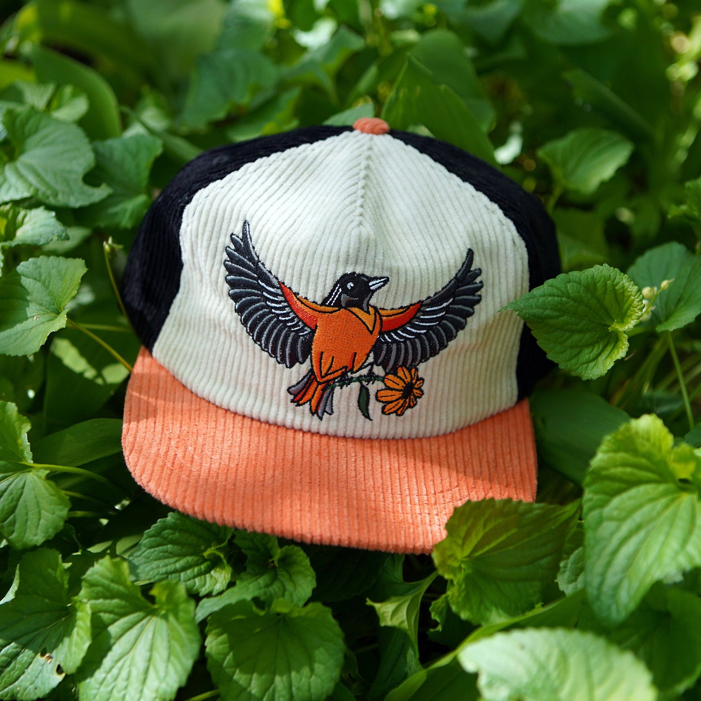 Oriole Two-Tone Corduroy Hat