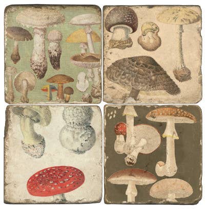 Vintage Mushrooms - Tumbled Marble Coasters Set/4