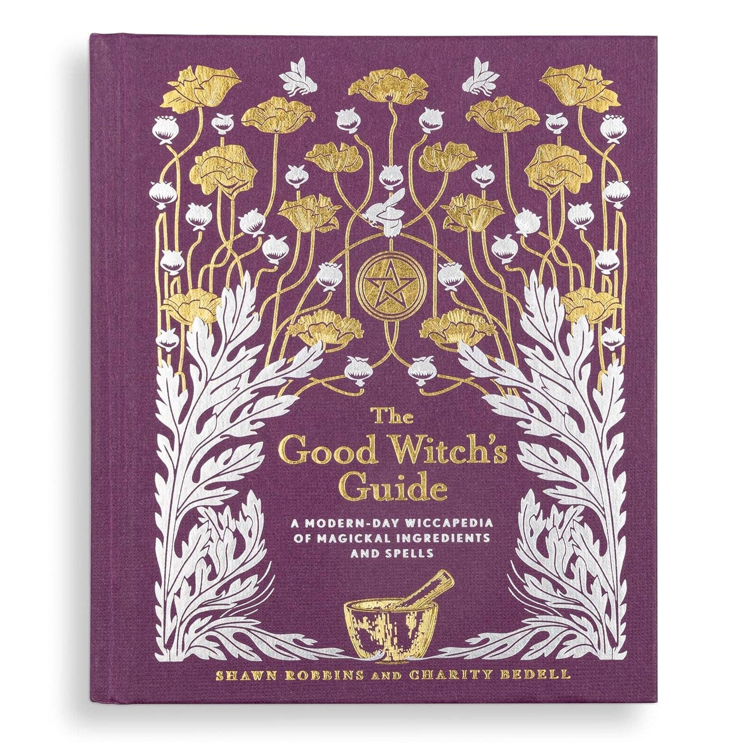 Good Witch's Guide by Shawn Robbins