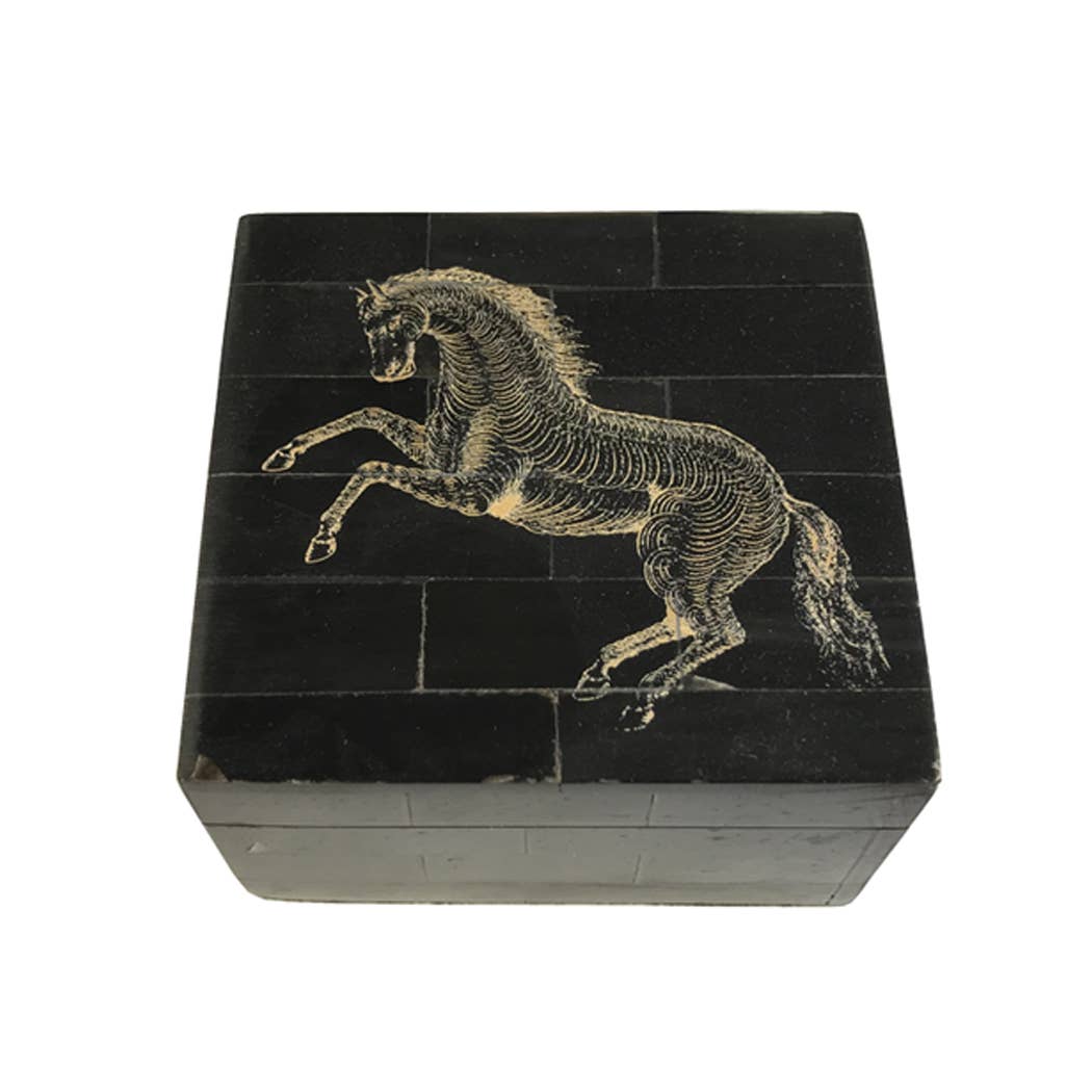 3-1/4" Black Horn Box with Scrimshaw Horse