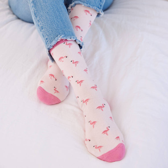 Socks that Protect Flamingos: Medium