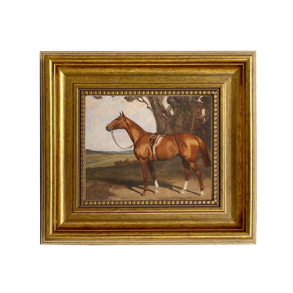 Saddled Chestnut Racehorse Framed Painting Print on Canvas: 5" x 6"