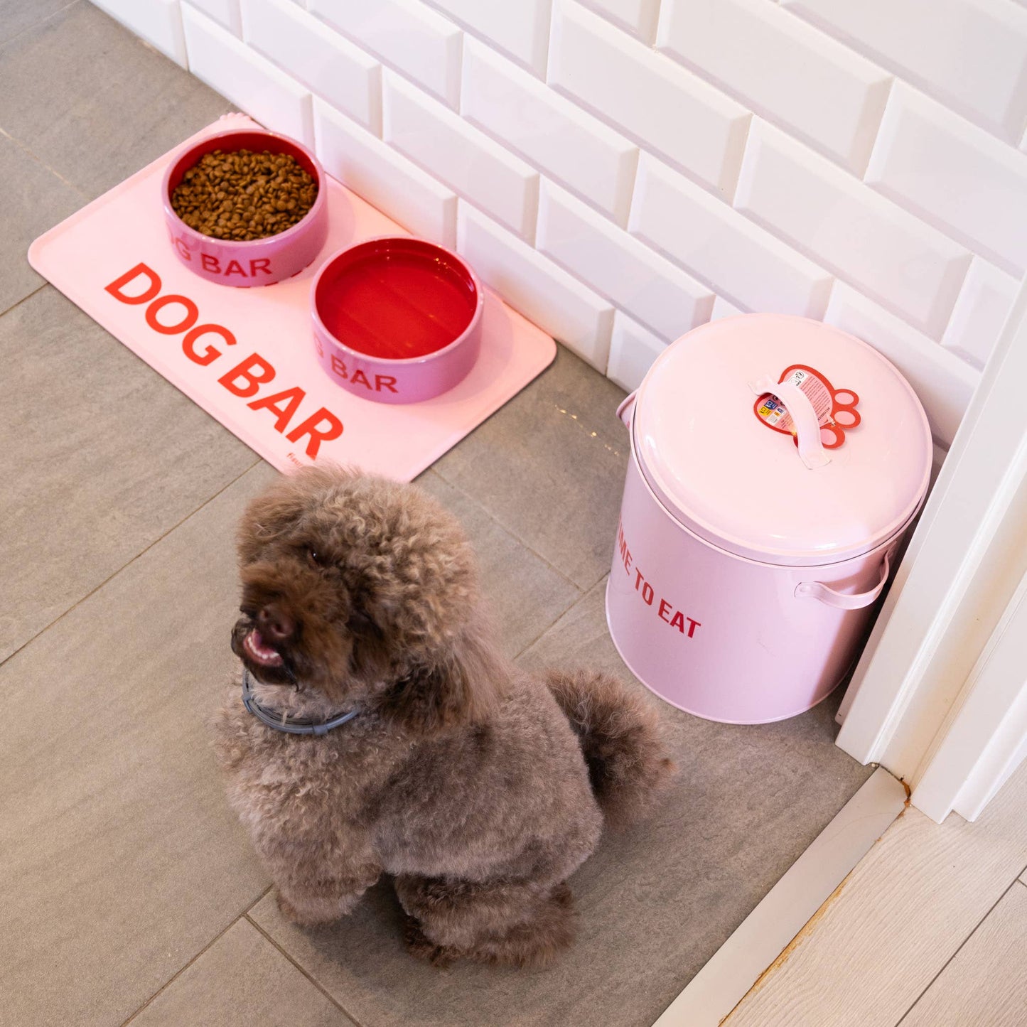 Fisura - "Dog bar" feeding mat