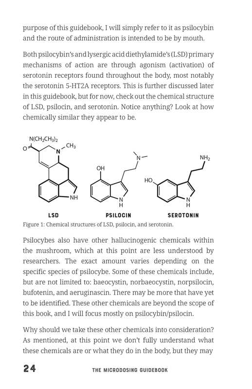 Microdosing Guidebook by C. J. Spotswood