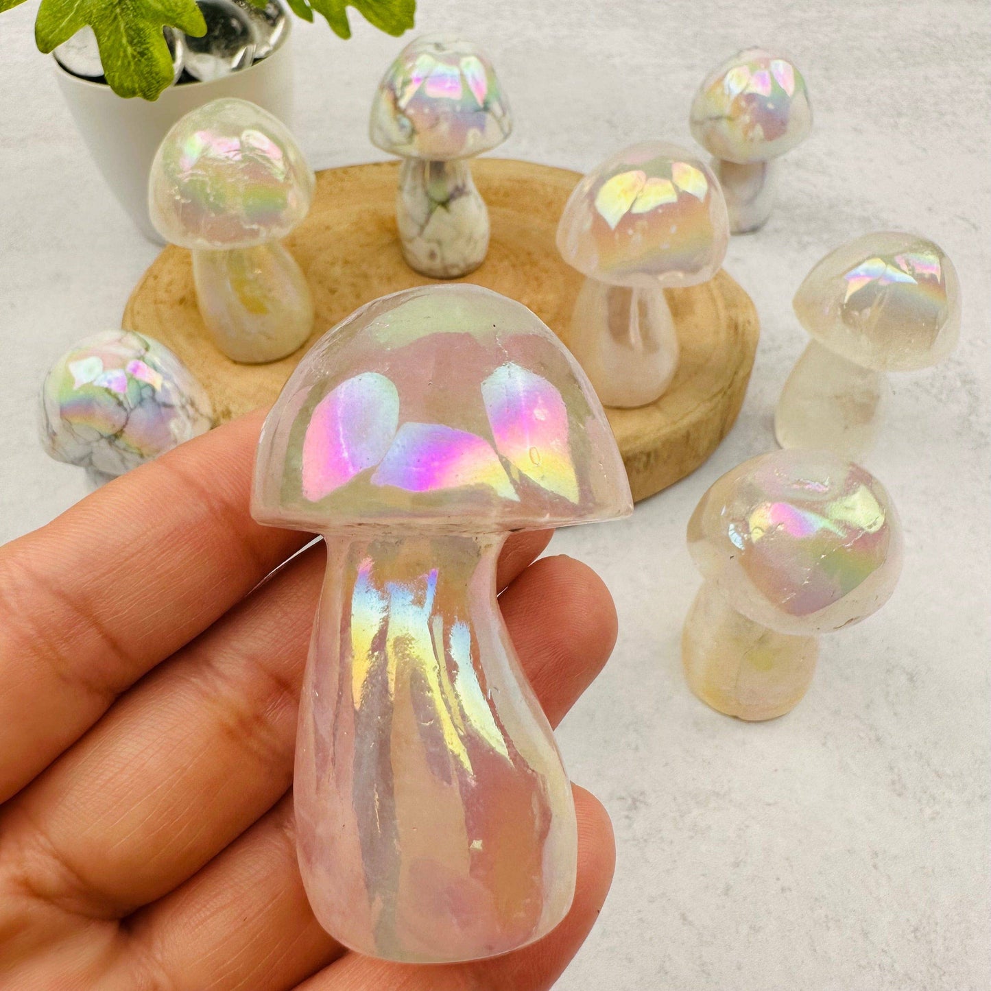 Rock Paradise - Gemstone Angel Aura Crystal Mushrooms - You Choose Stone: Angel Aura Rose Quartz