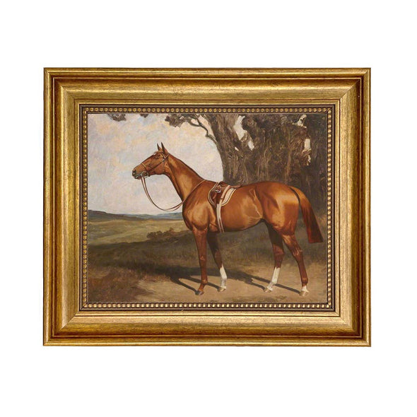 Saddled Chestnut Racehorse Framed Painting Print on Canvas: 5" x 6"