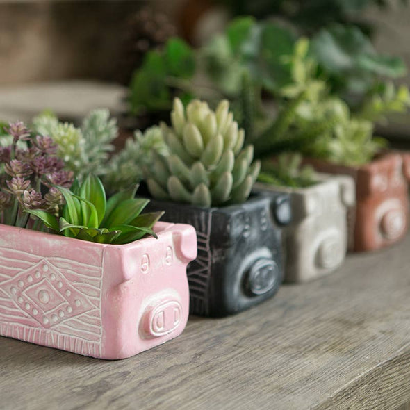 CEMENT PIG PLANTER: Small / Pink