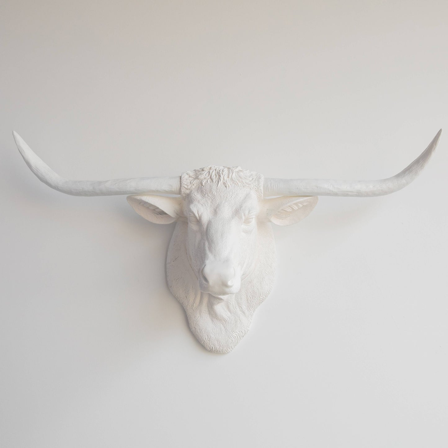 Near and Deer - Faux Texas Longhorn Head Wall Mount: Black/Gold