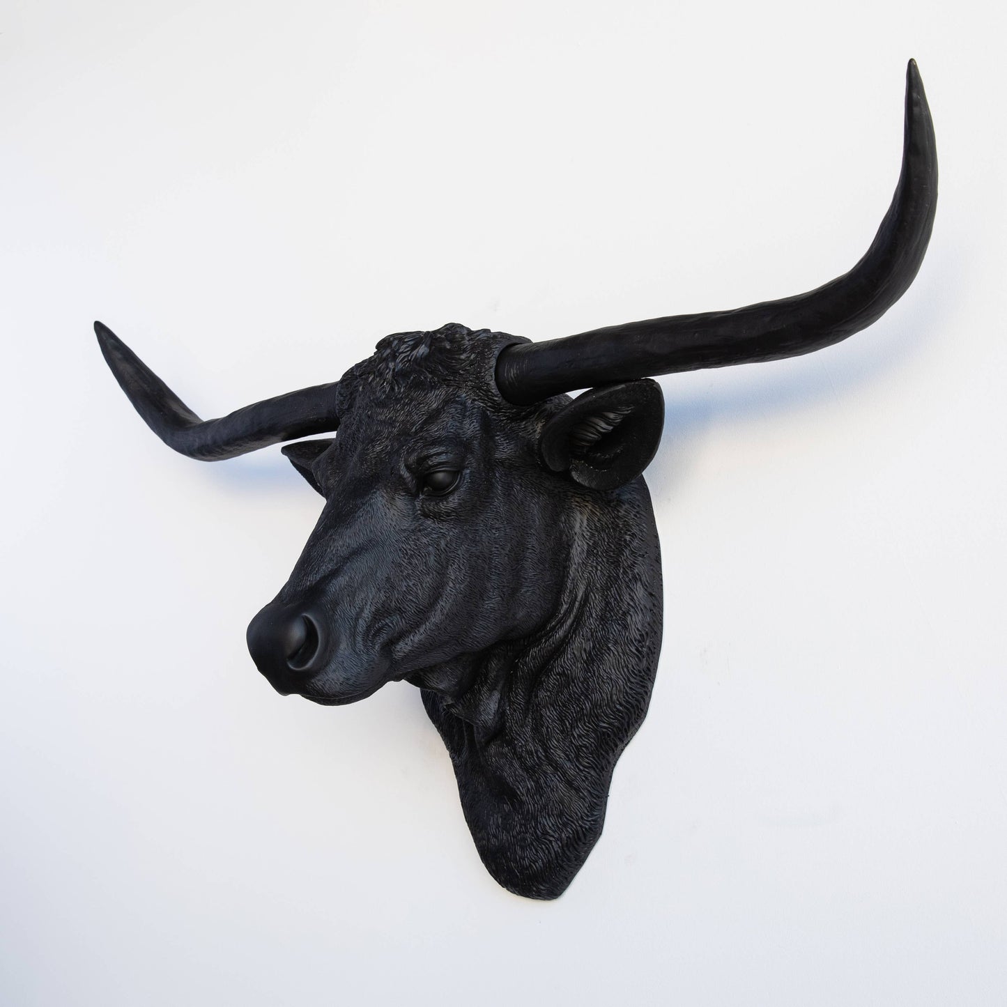 Near and Deer - Faux Texas Longhorn Head Wall Mount: Black/Gold