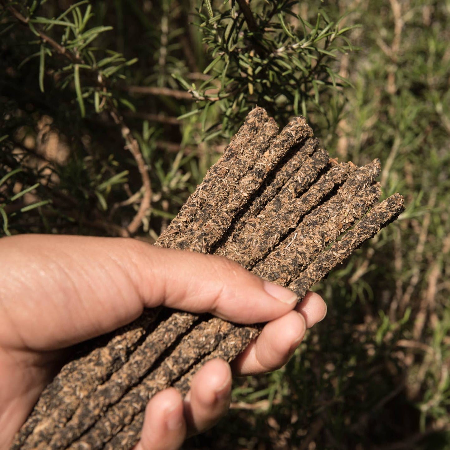 Natural Resin Incense Sticks Copal