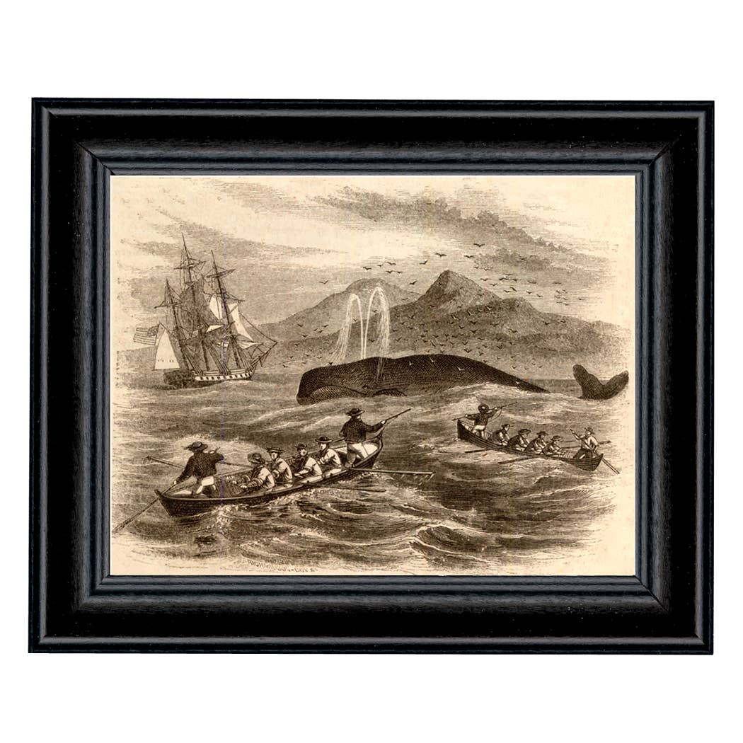 5x7" Pursuit of Greenland Whale Framed Print Behind Glass