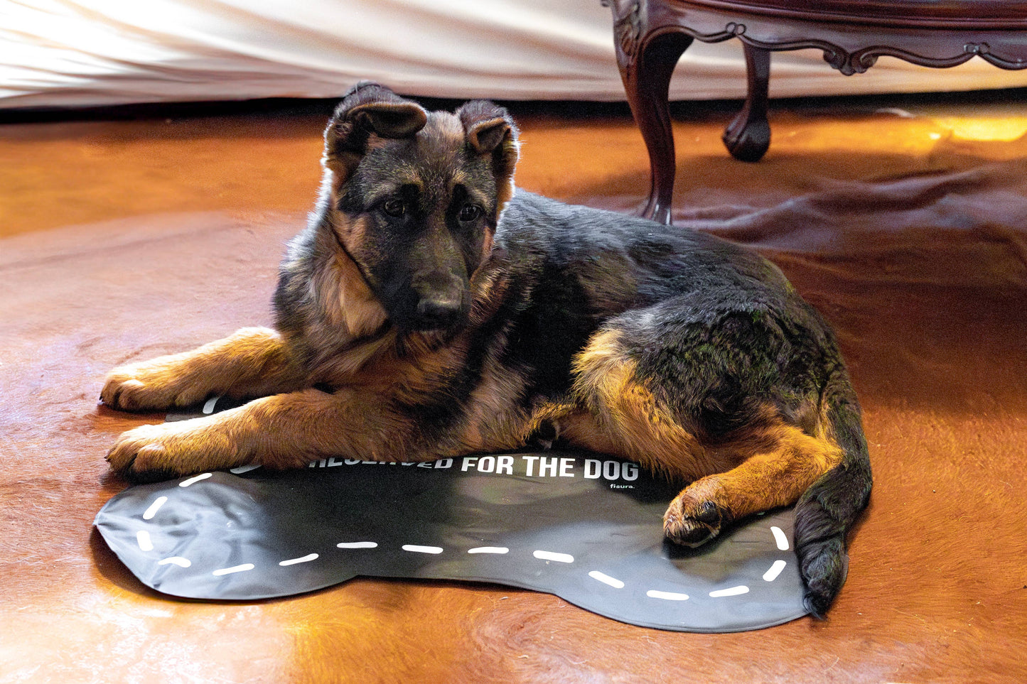 Fisura - "Reserved for the dog" reversible cooling blanket