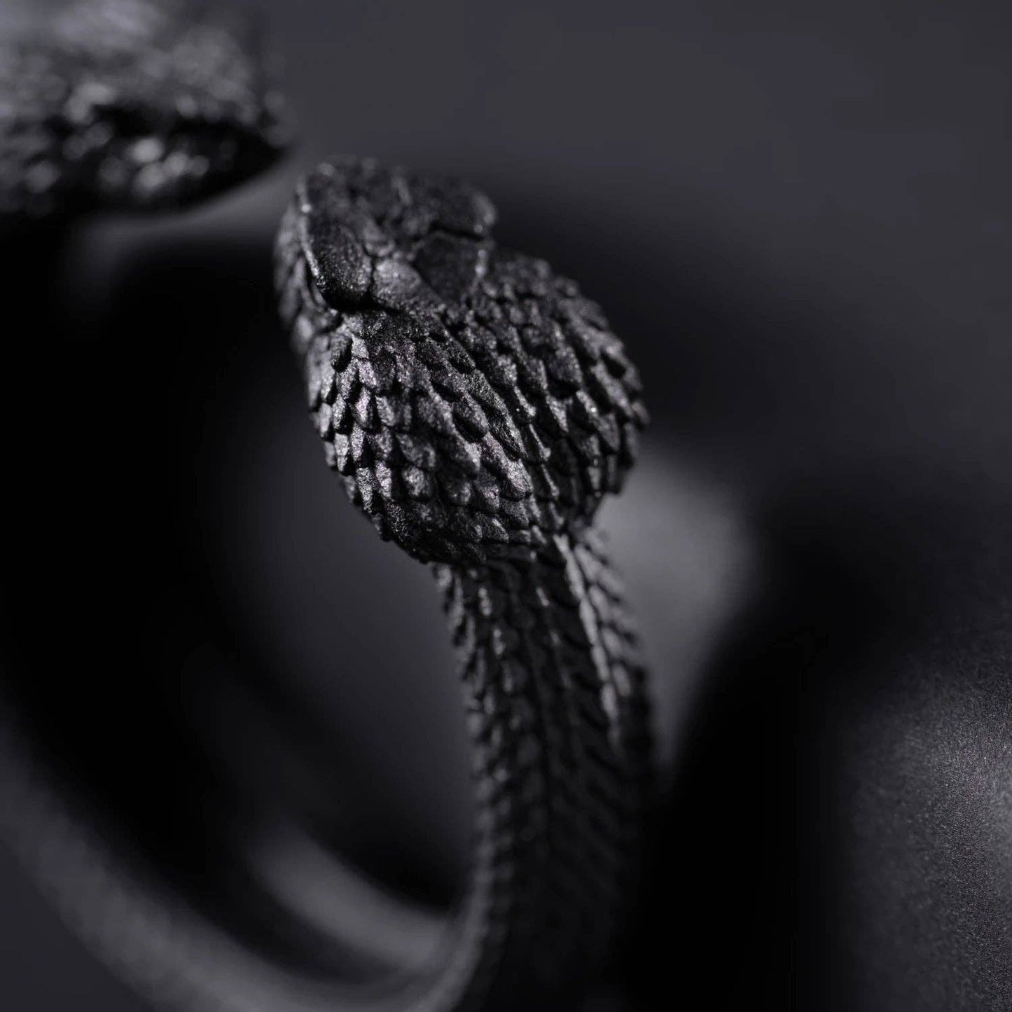 Amphisbaena Ring: Black / 9