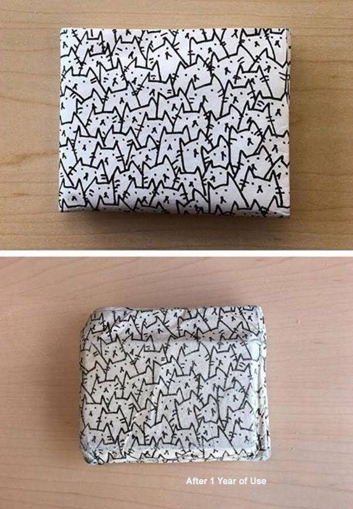 A Pocket Full of Cats Mighty Wallet