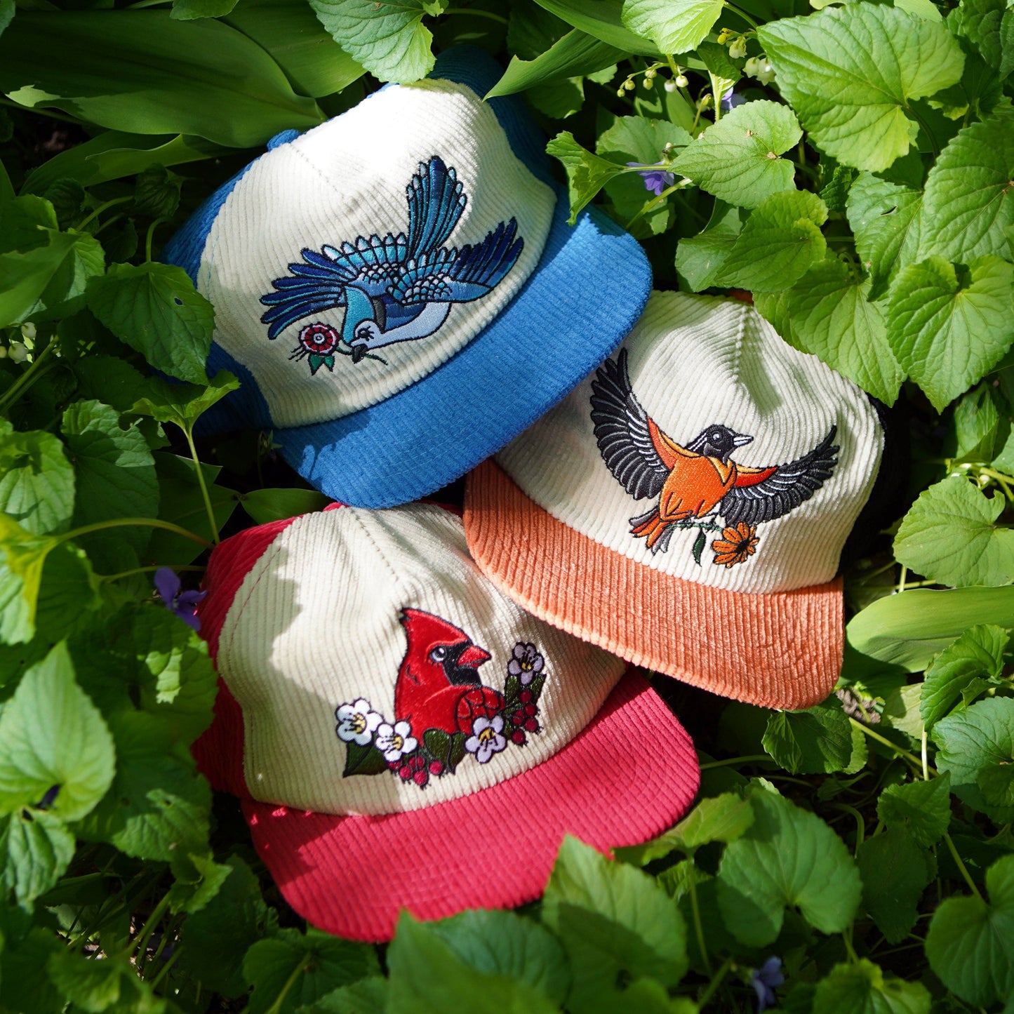 Oriole Two-Tone Corduroy Hat