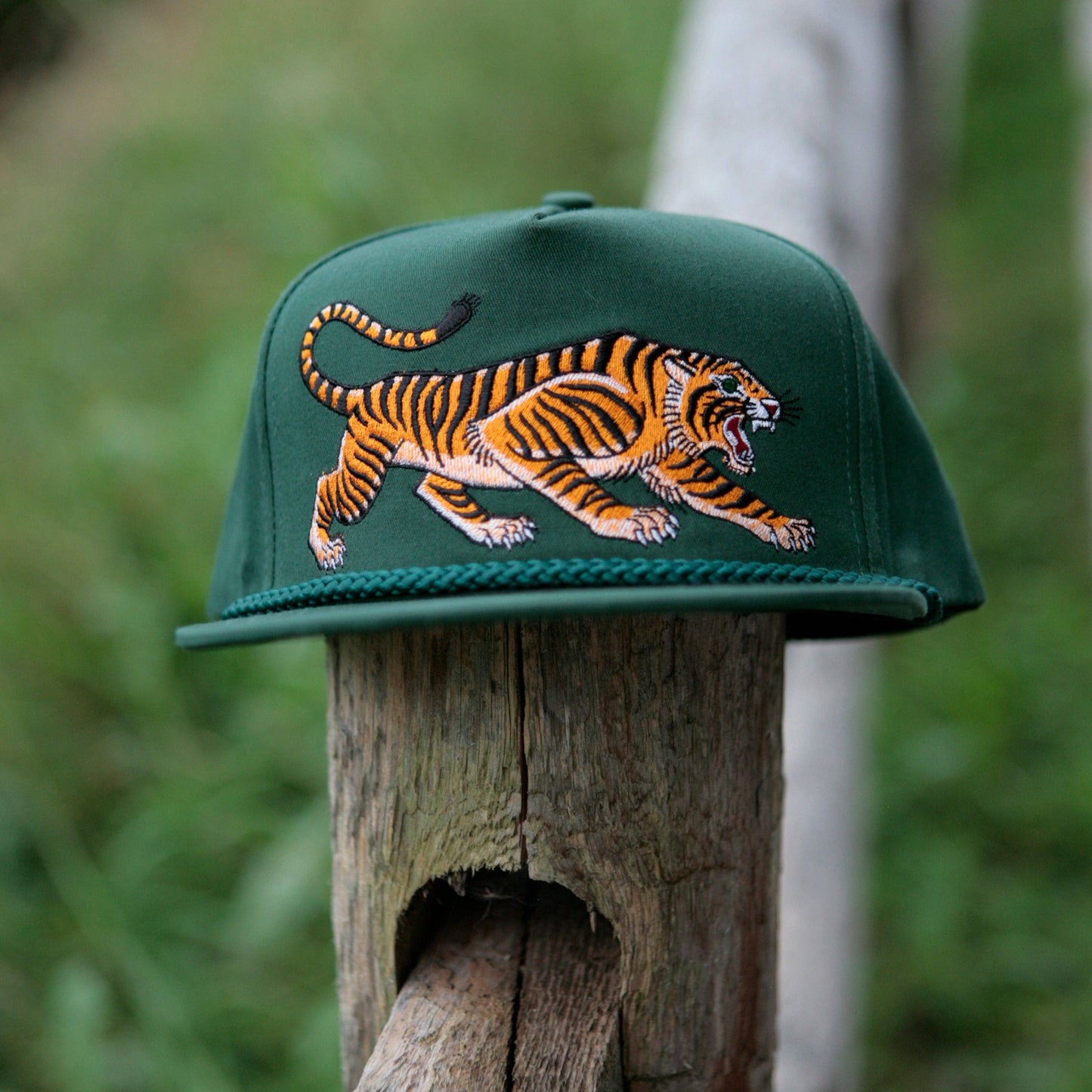 Tiger Cap: Black