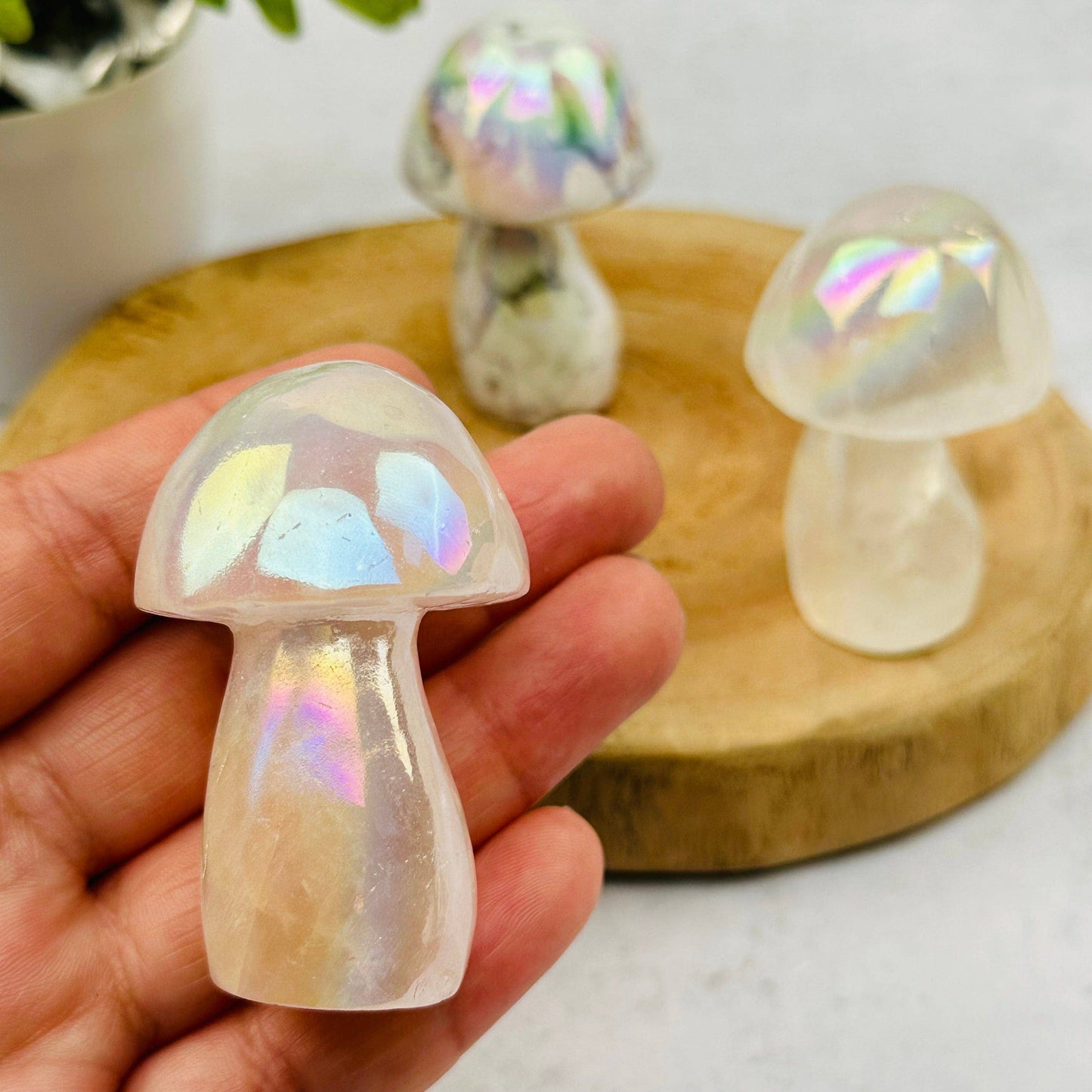 Rock Paradise - Gemstone Angel Aura Crystal Mushrooms - You Choose Stone: Angel Aura Rose Quartz